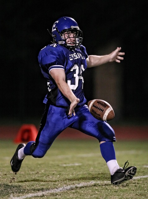 其潜力的重 其潜力的重